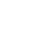 Fringe salon logo